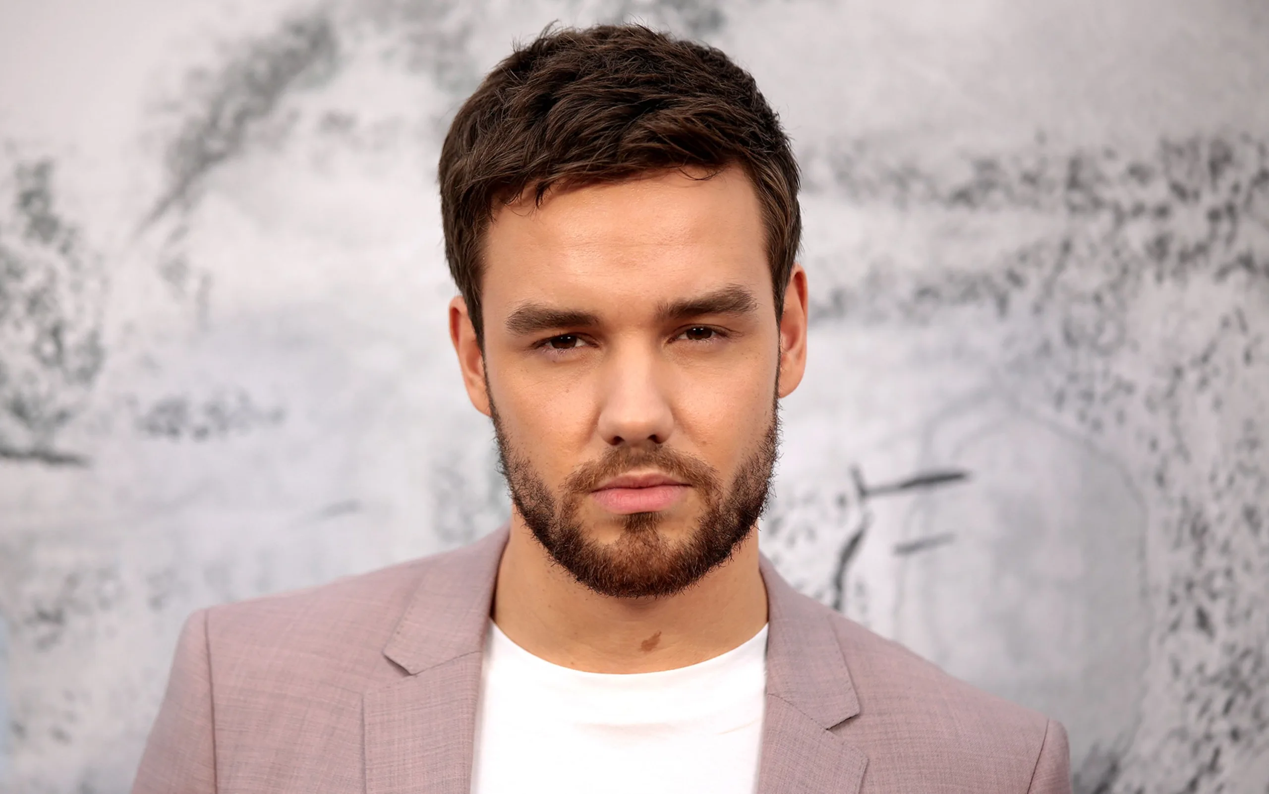 Zayn Malik, Liam Payne’in Vefatının Ardından Turnesini Erteledi